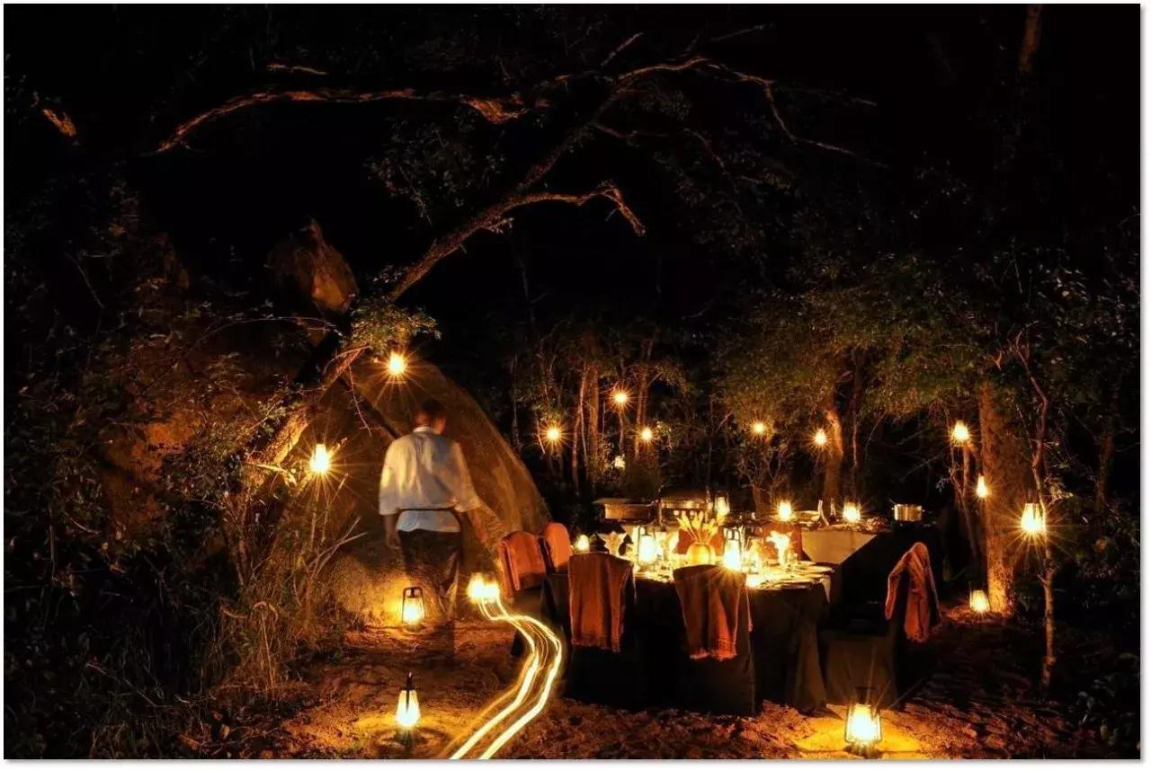 他花16年学会跟狮子交谈，而你花10天懂得了他的执著！