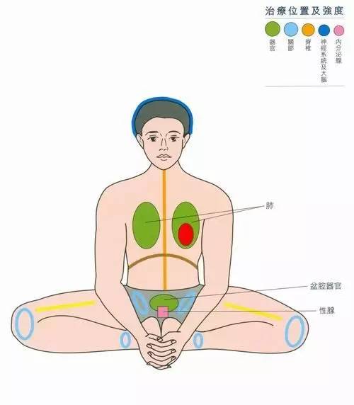 瑜伽妇科防治每天必练的动作,哪些瑜伽体式对妇科比较好