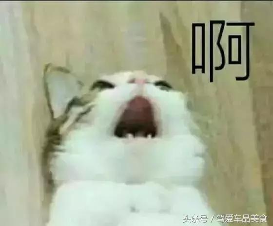 拼多多退货太多次导致没有运费险,退货超过多少会被保险公司拉黑