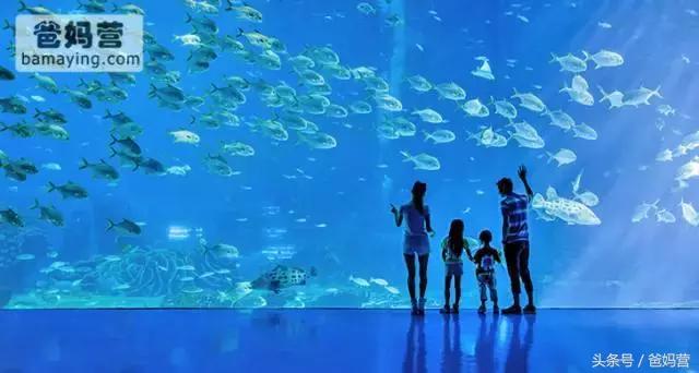 江浙沪十佳亲子酒店,适合亲子酒店推荐