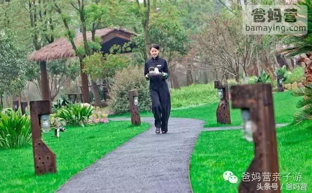 江浙沪十佳亲子酒店,适合亲子酒店推荐