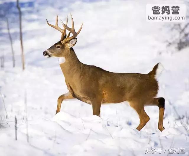 江浙沪十佳亲子酒店,适合亲子酒店推荐