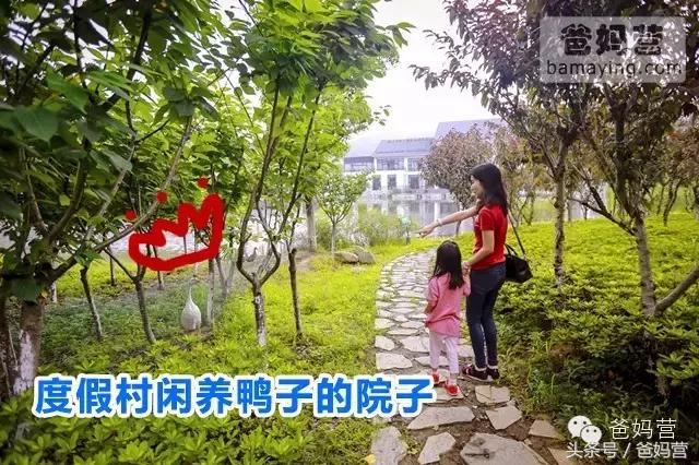 江浙沪十佳亲子酒店,适合亲子酒店推荐