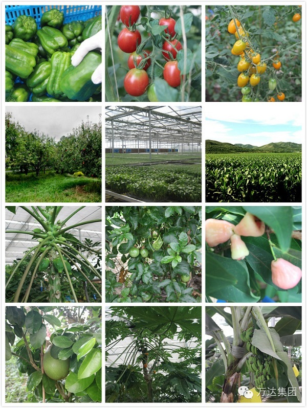 阿里巴巴和华为哪里的员工待遇好 (阿里巴巴华为员工多么)