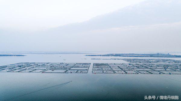 涨知识螃蟹的这几个地方不能吃,吃什么螃蟹不能吃什么