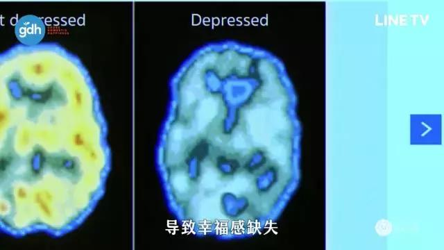 小鲜肉演技烂能超越经典前辈吗,怎样评价一些小鲜肉的演技