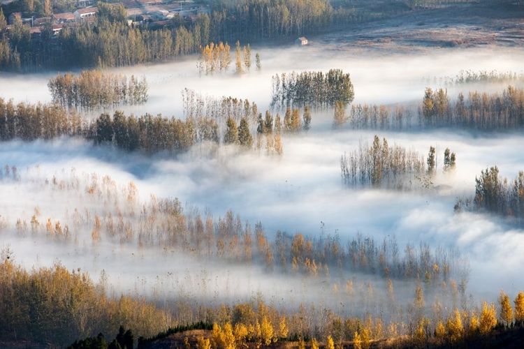 金秋沂南，诗意流淌有那么一群爱美的人，把秋季沂南送到你面前