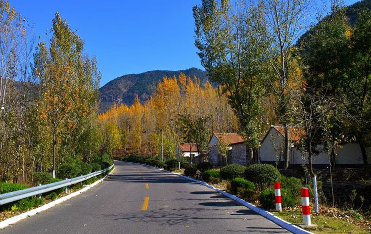 金秋沂南，诗意流淌有那么一群爱美的人，把秋季沂南送到你面前