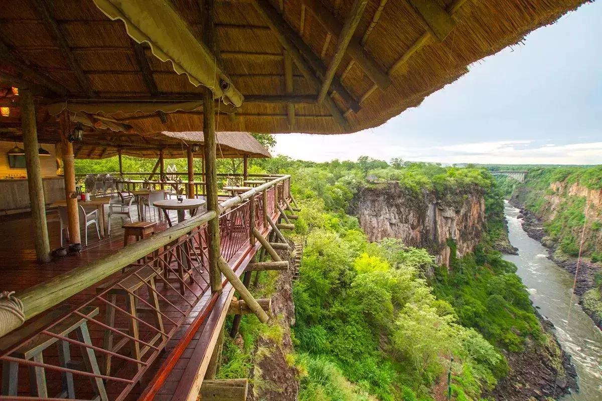 他花16年学会跟狮子交谈，而你花10天懂得了他的执著！