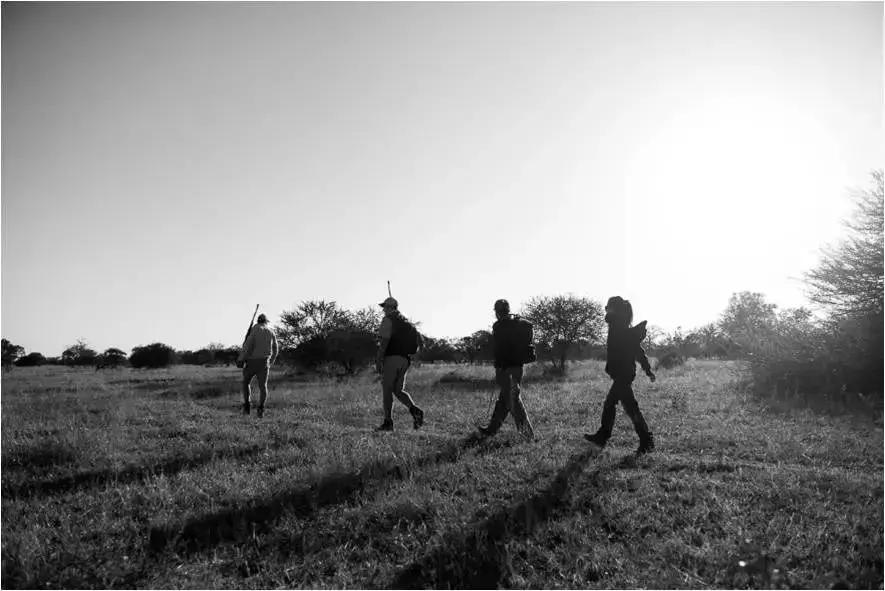 他花16年学会跟狮子交谈，而你花10天懂得了他的执著！