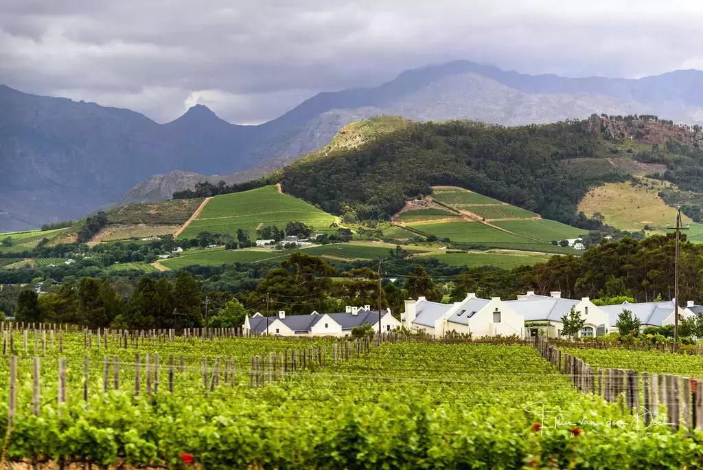 他花16年学会跟狮子交谈，而你花10天懂得了他的执著！