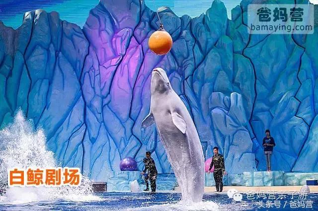 江浙沪十佳亲子酒店,适合亲子酒店推荐