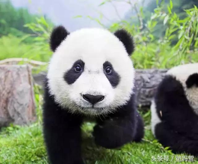 江浙沪十佳亲子酒店,适合亲子酒店推荐