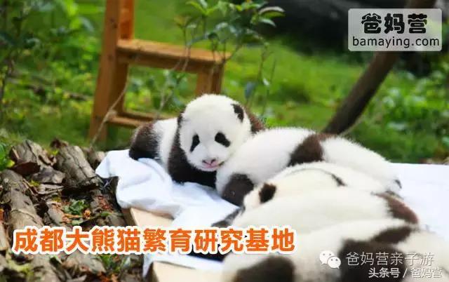 江浙沪十佳亲子酒店,适合亲子酒店推荐