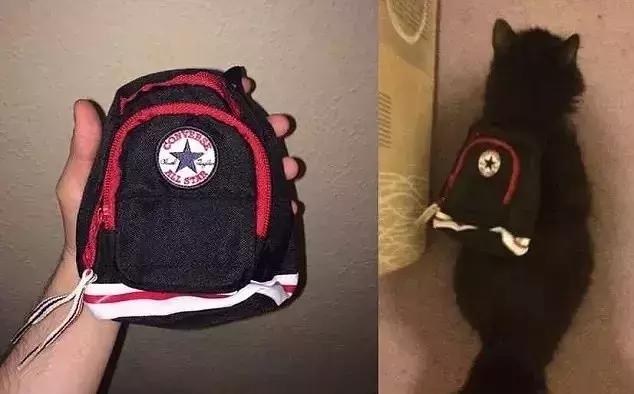 那些令买家崩溃的买家秀哈哈哈,一组让人笑出内伤的买家秀