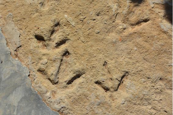 猎鬼人讲故事,猎鬼人故事