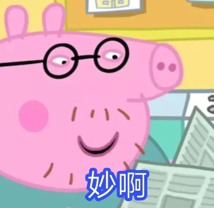 霸占你的小猪表情包,霸占你全部时间的表情包