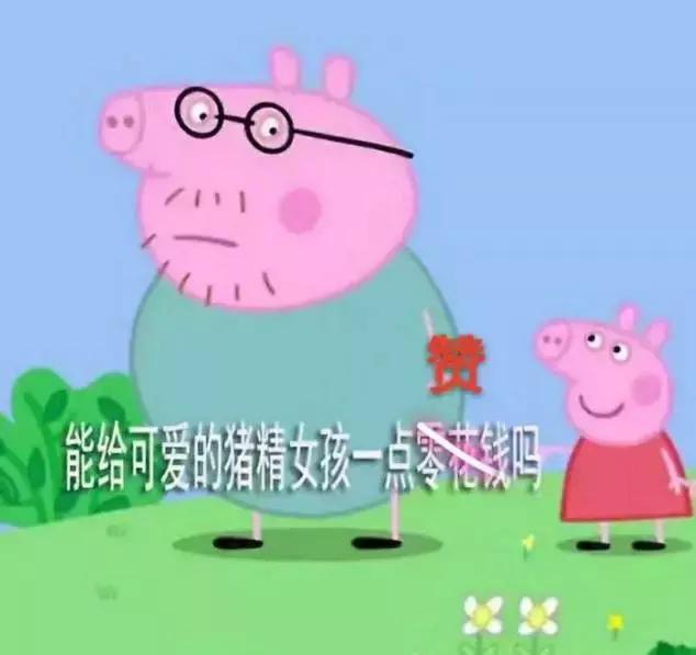 霸占你的小猪表情包,霸占你全部时间的表情包