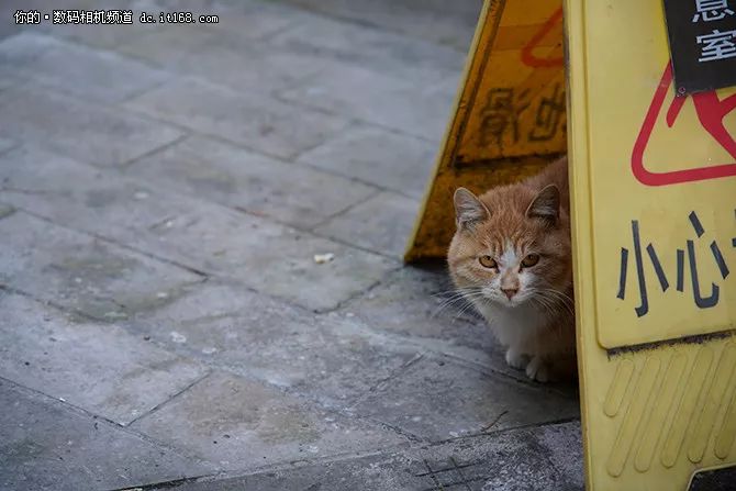 索尼a7r3使用外置闪光灯,索尼全画幅微单a7r3