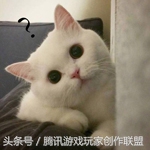 cos少女集锦,cos蔡文姬7岁真人小女孩