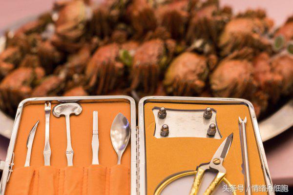 涨知识螃蟹的这几个地方不能吃,吃什么螃蟹不能吃什么