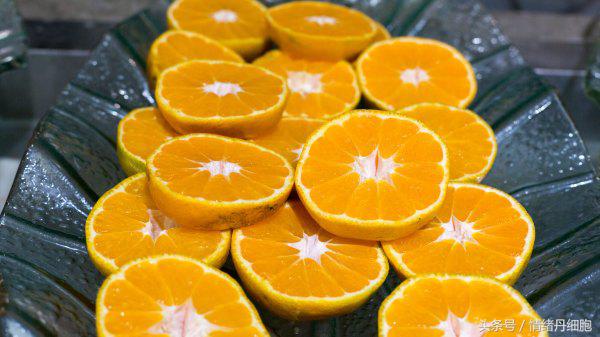 涨知识螃蟹的这几个地方不能吃,吃什么螃蟹不能吃什么