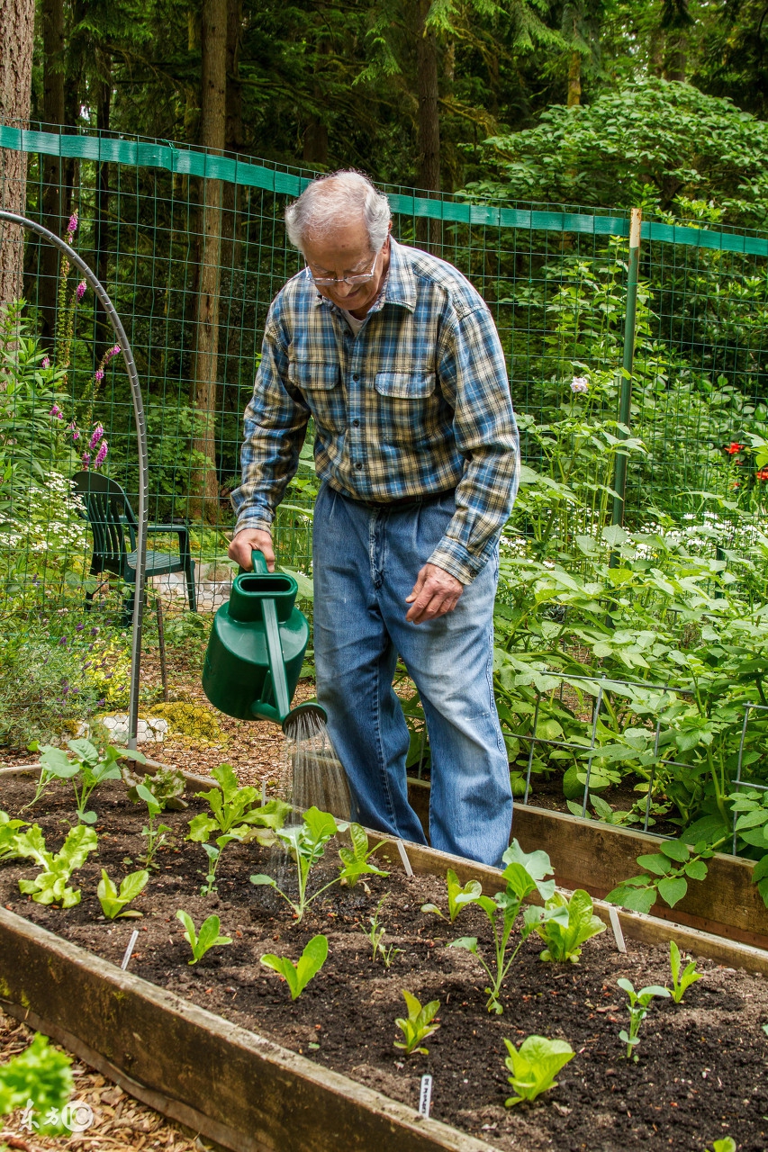 最近总是掉头发教你五招改善脱发,头发脱发发黄和缺钙有关系吗