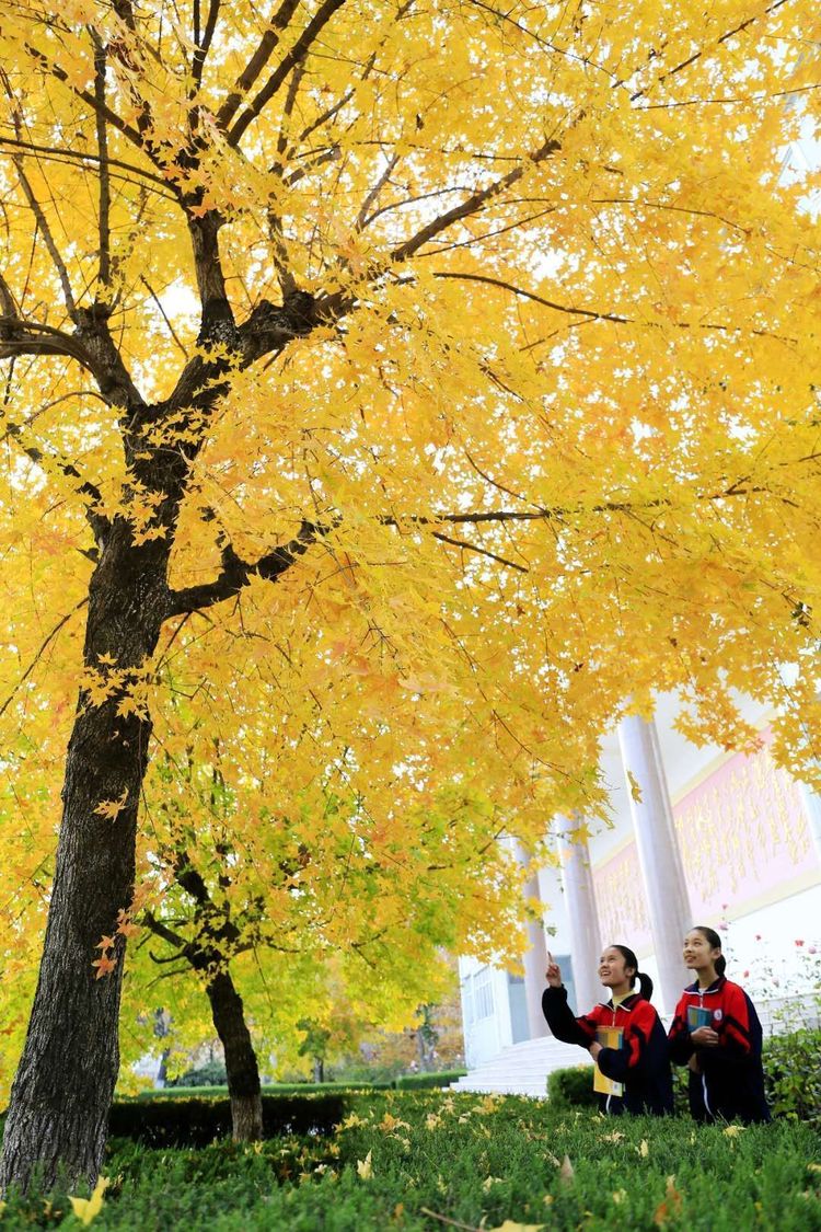 金秋沂南，诗意流淌有那么一群爱美的人，把秋季沂南送到你面前