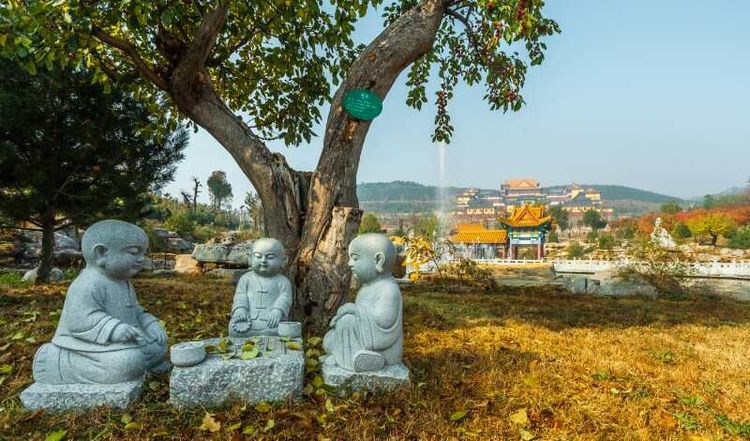 金秋沂南，诗意流淌有那么一群爱美的人，把秋季沂南送到你面前