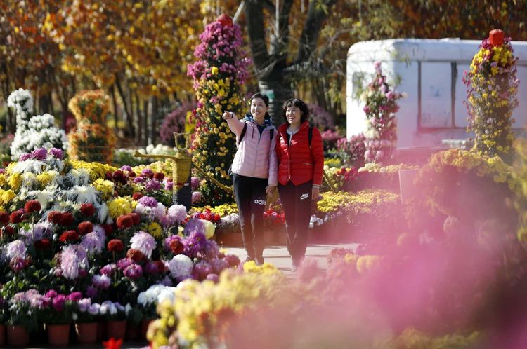 金秋沂南，诗意流淌有那么一群爱美的人，把秋季沂南送到你面前