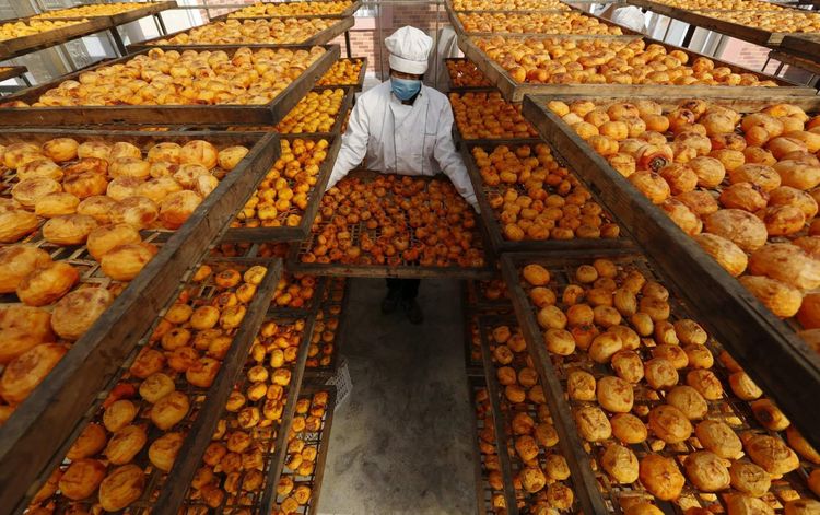 金秋沂南，诗意流淌有那么一群爱美的人，把秋季沂南送到你面前