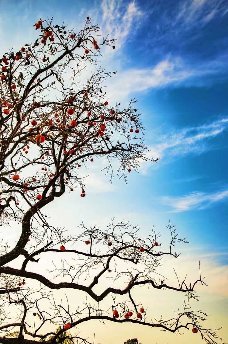 金秋沂南，诗意流淌有那么一群爱美的人，把秋季沂南送到你面前