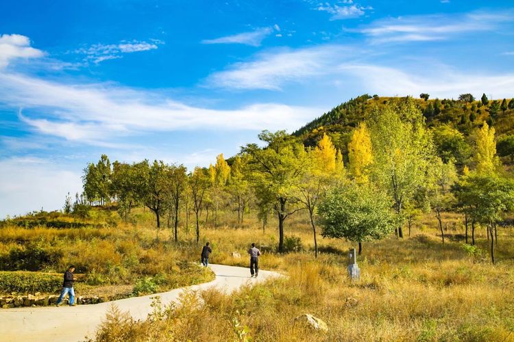 金秋沂南，诗意流淌有那么一群爱美的人，把秋季沂南送到你面前