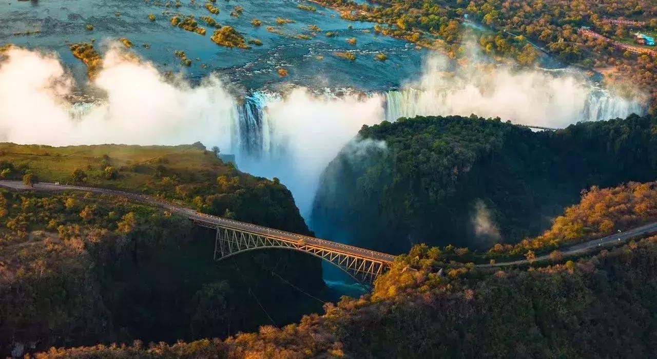 他花16年学会跟狮子交谈，而你花10天懂得了他的执著！