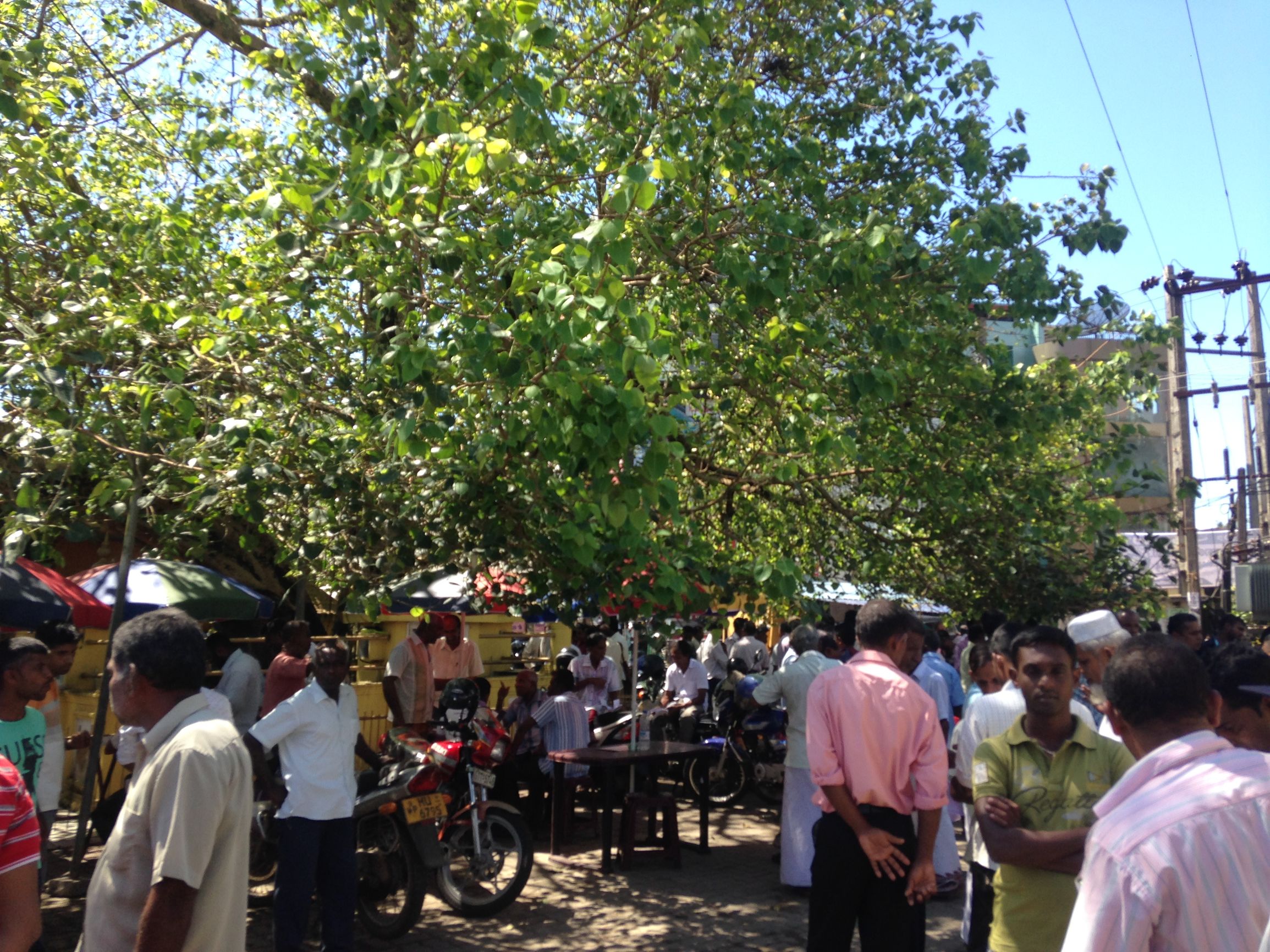 去斯里兰卡买蓝宝石注意事项,怎么看斯里兰卡蓝宝石