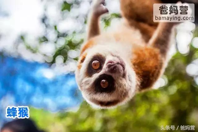 江浙沪十佳亲子酒店,适合亲子酒店推荐