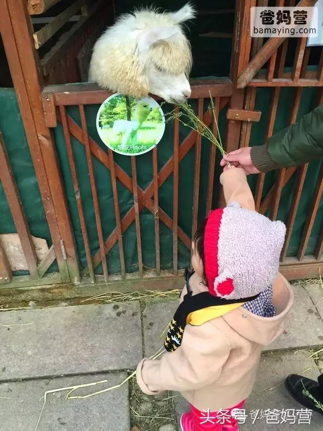 江浙沪十佳亲子酒店,适合亲子酒店推荐