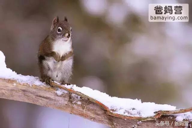 江浙沪十佳亲子酒店,适合亲子酒店推荐
