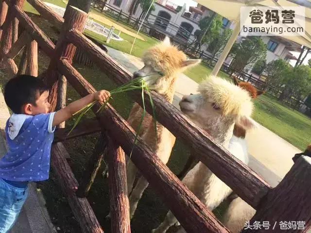 江浙沪十佳亲子酒店,适合亲子酒店推荐