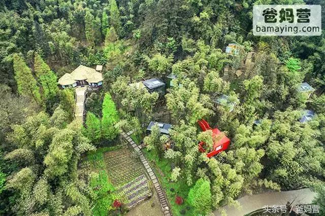 江浙沪十佳亲子酒店,适合亲子酒店推荐