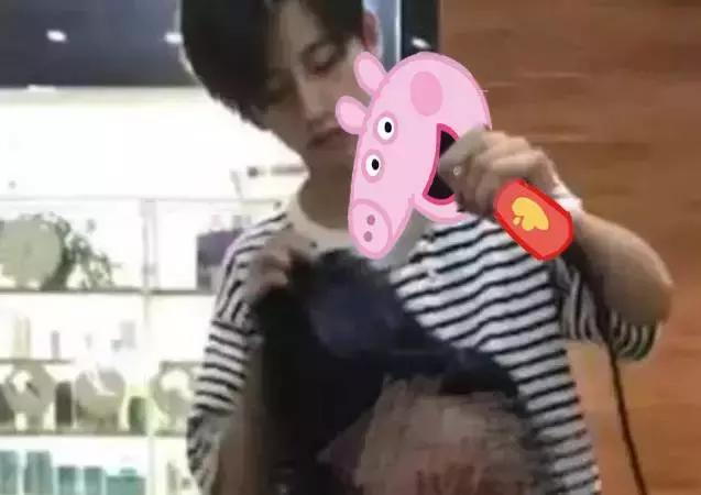 霸占你的小猪表情包,霸占你全部时间的表情包