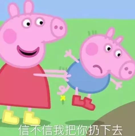 霸占你的小猪表情包,霸占你全部时间的表情包