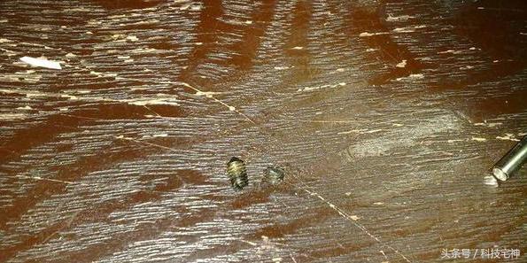 锂电螺丝刀工具评测,自制锂电池全自动万能螺丝刀