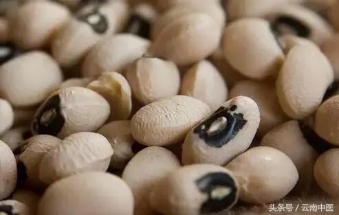 高粱怎么吃补脾效果好,祛湿补血的高粱有哪些