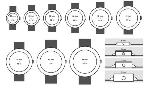 腕表鸡头凤尾选择,腕表小白应该如何选表