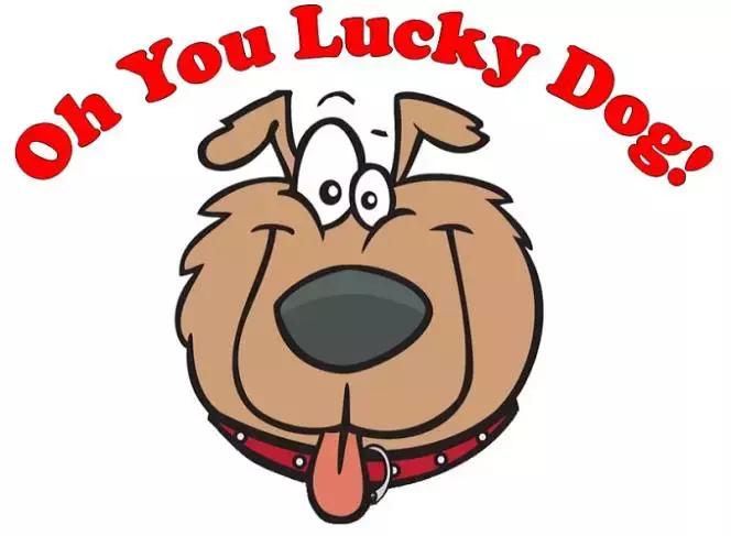 孩子的雷区家长千万不要踩,女生起英文名雷区