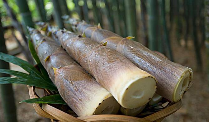 秀城美食,秀城店美食