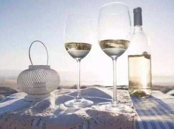 白葡萄酒和干白葡萄酒哪个好,白葡萄酒怎么喝口感更好一些