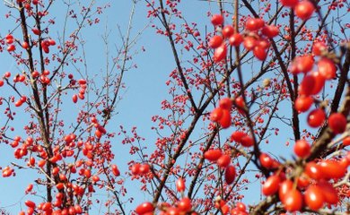 女人夜里盗汗的原因和治疗方法,如何分辨盗汗是不是生理性