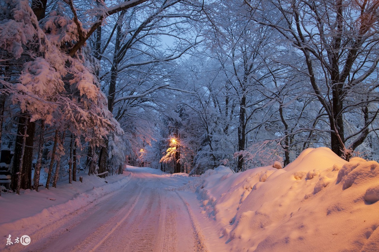 吐血分享日本海淘全攻略,日本海淘用哪个转运仓